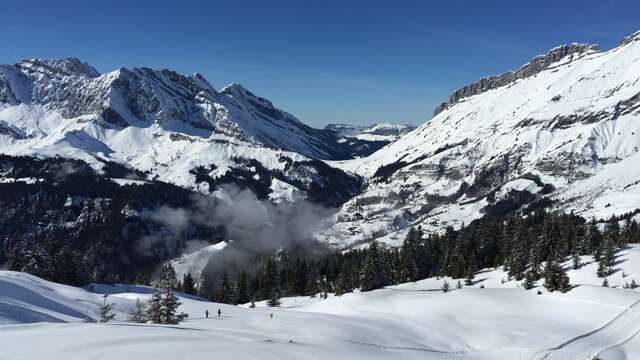 Route für Schneeschuhwanderer : La Rose du Chapet