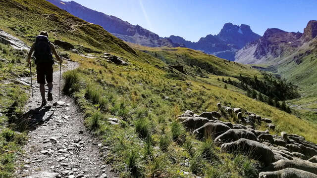 Marche sportive et développement personnel