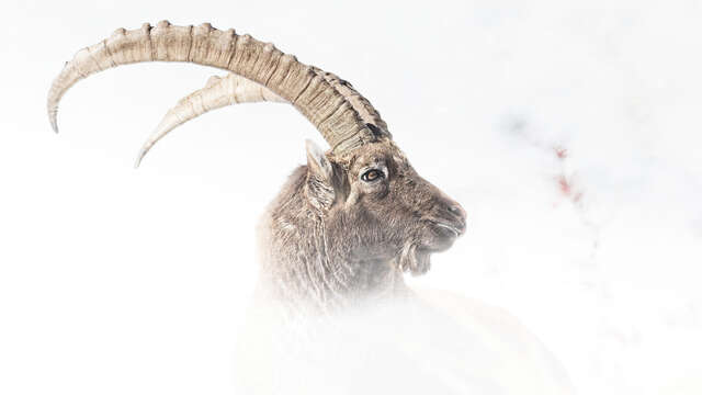 Eric Leroy Photographies