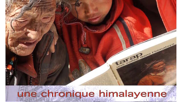 Projection plein air