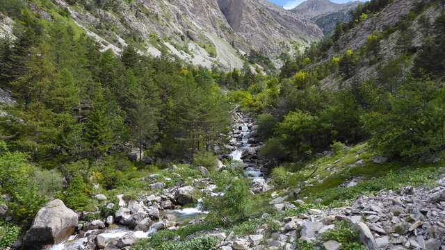 Trail N°9 : Montée Tête de l'Estrop