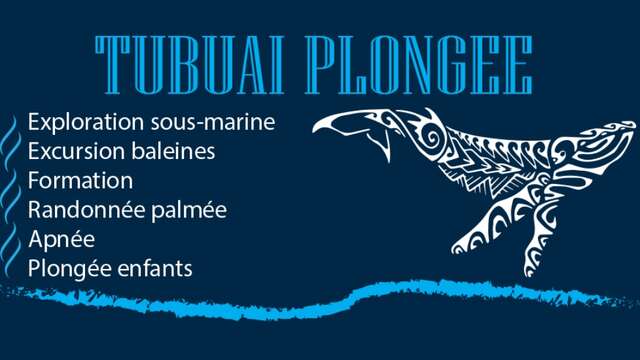Tubuai Plongée - Sortie Baleines