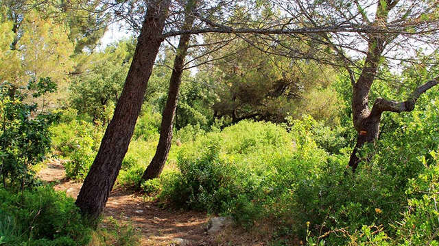 GR2013 - Boucle de l'Etang de Berre