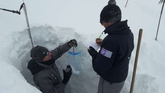 Le suivi du manteau neigeux : sondage par battage