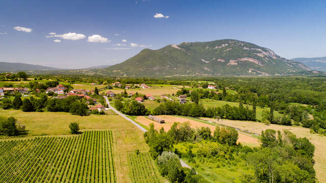 Randonnée pédestre : Le circuit des caves bugistes