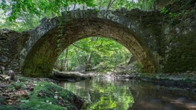 Forêt de Palayson, Bois du Rouet - deux sites Natura 2000