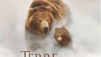 Fête de la nature: Projection du film "Terre des ours"
