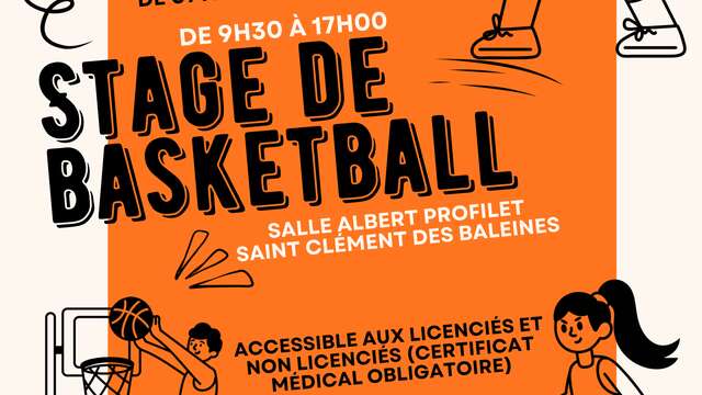 Stage de basket