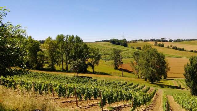 Domaine de Thermes
