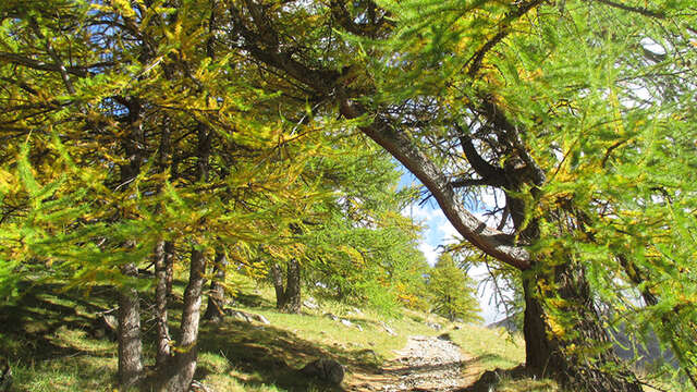 Couleurs Saisons - Magali, accompagnatrice en montagne