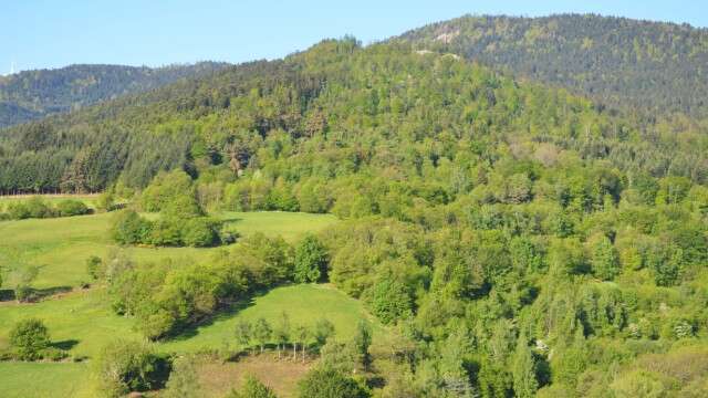 Sentier d'interprétation du Priel - boucle de 8 km