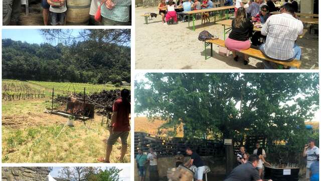 Fête de la Vigne et du Vin - Domaine Le Mas des Flauzières