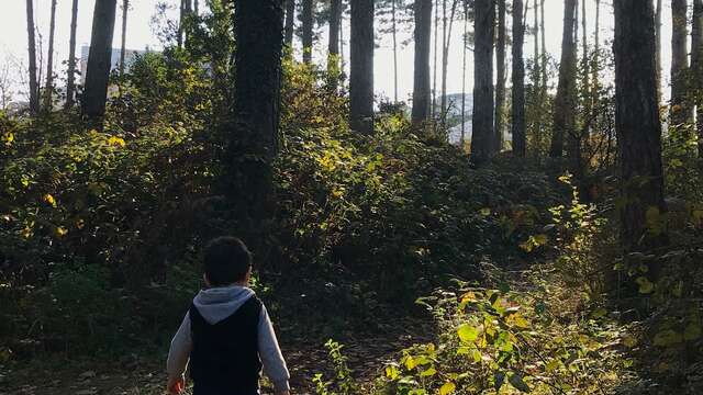 La biodiversité depuis les sentiers