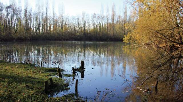 Circuit - Les bords de Loire à Perreux