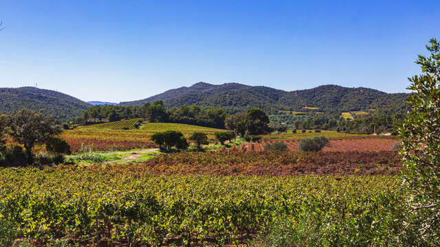 Christmas at Domaine de Favanquet