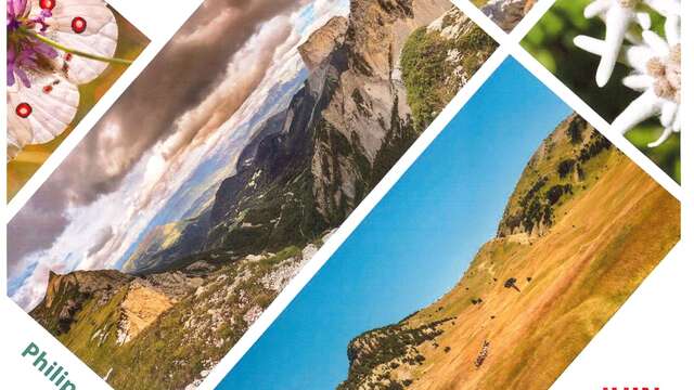 Exposition : La Réserve des Hauts-Plateaux du Vercors, de Philippe RIOT