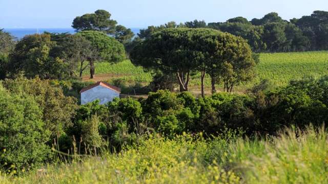 Workshop con Cyrielle Gulacsy a Villa Carmignac