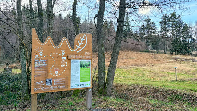 Sylvetum du Bois des Gaulois