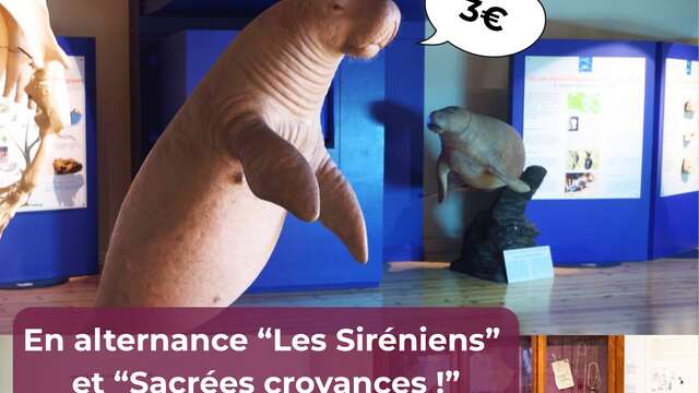 Visite guidée de l'exposition "Sirènes et Fossiles"