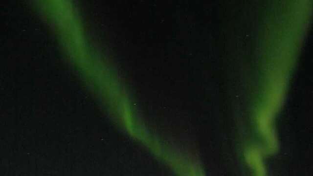 Les nuits de la lecture