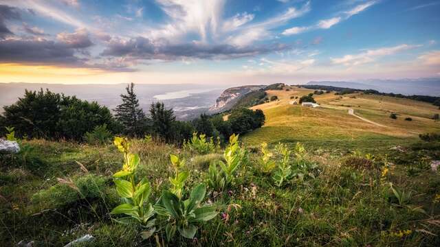 Visites panoramiques au Salève