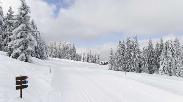 Le Tour du Golf hiver