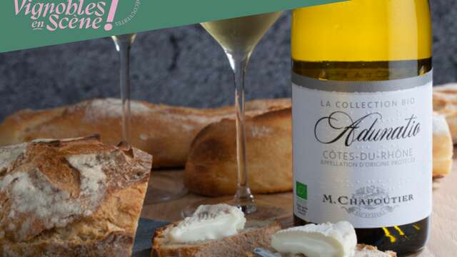 Atelier "Vin & fromage" - M.CHAPOUTIER