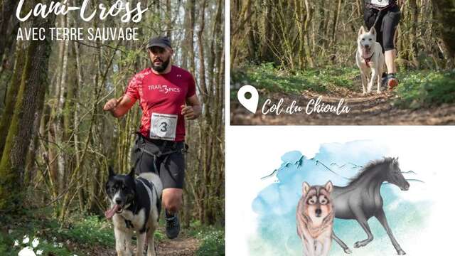 Cani cross avec Terre Sauvage