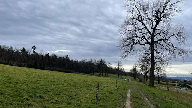Sentier Les Caquignons