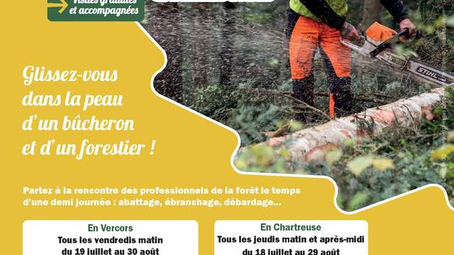 Vis ma vie de Bûcheron