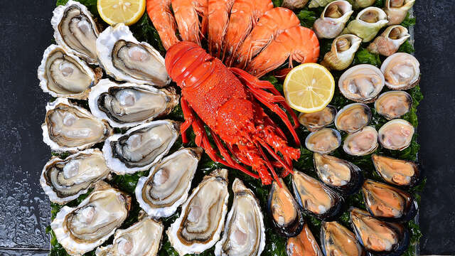 Coquillages du Roy René