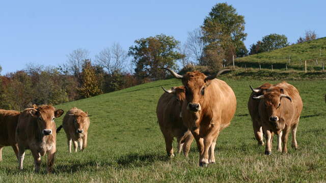 GAEC La Ferme de Taillard