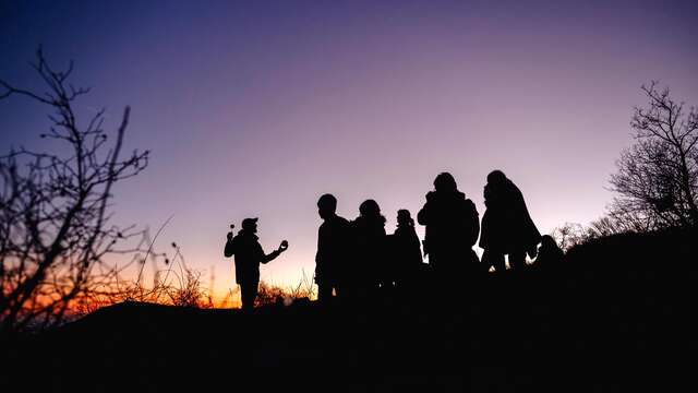 Nuit des étoiles d'hiver