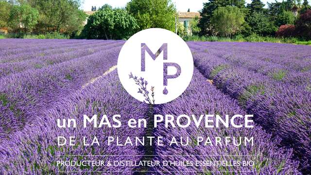 Un Mas en Provence