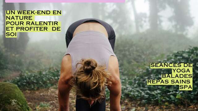 Stage de yoga