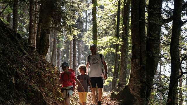 Visite d'une forêt lauréate du Sylvotrophée