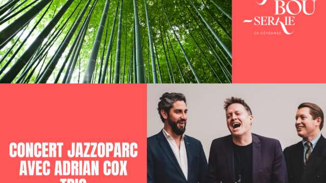 Concert Jazzoparc avec Adrian Cox Trio