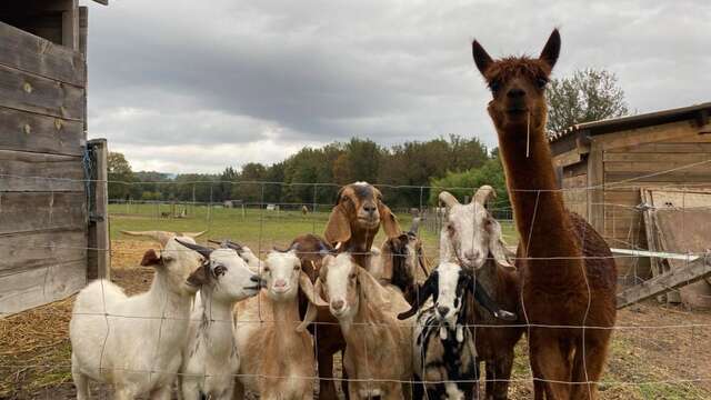 La Ferme d'Idéfix