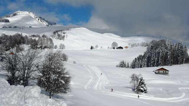 Plaine-Joux - Massif des Brasses