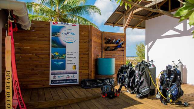 Blue Way Manihi Dive
