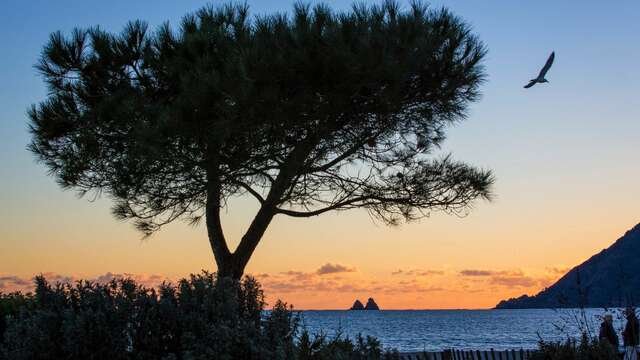 Parc paysager Fernand Braudel