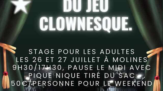 Stage pour adultes "Initiation à l'art théâtral du jeu clownesque "