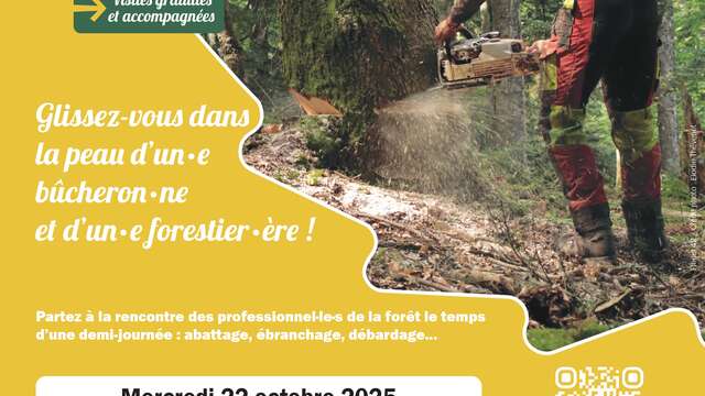 Vis ma vie de Bûcheron