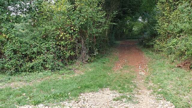 Revonnas - Brame Chèvre