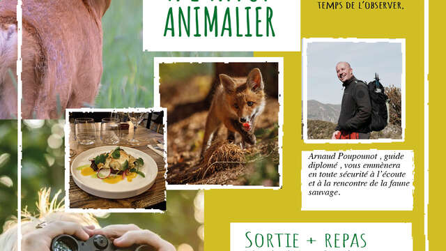 Sortie d'initiation à l'affût animalier et repas