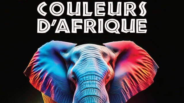 8ème Journée Villeneuve'Africa