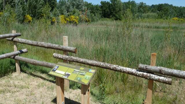 Espace naturel sensible de Belle-Île