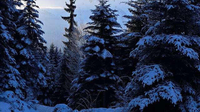 Montavus loop from Nant Cruy - snowshoe trail