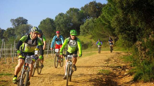 Mountain biking and Gravel: La Maurin des Maures