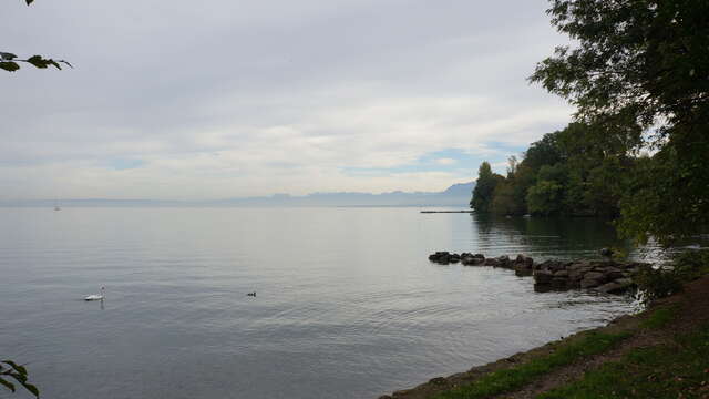 Plage de la Garritte